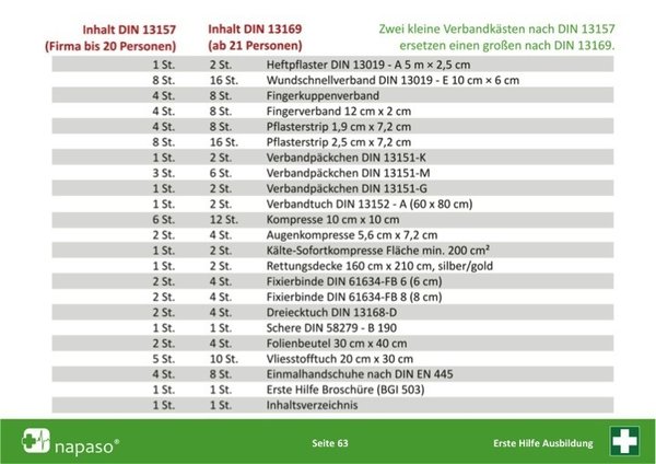 Erste Hilfe Leitfaden 9UE + Folien PDF 2021